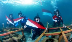 Harita Nickel Peringati HUT RI Dengan Penanaman Terumbu Karang