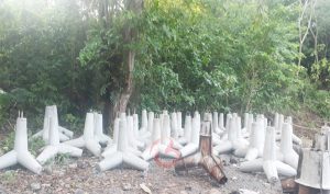 Belum Ada Progres, Proyek Pelabuhan Hiri Ternate Butuh 2.888 Tetrapod