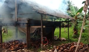 Di Halsel Harga Kopra Makin Bergairah