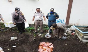 Ramdhan, Puluhan Daging Babi Dimusnahkan Balai Karantina Pertanian Ternate