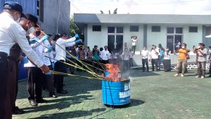 Forkompimda Malut Bakar Lima Ribu Ganja