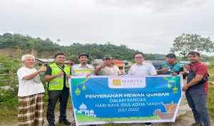 Harita Nickel Salurkan Hewan Kurban 24 Ekor Sapi
