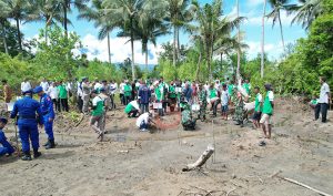 Harita dan Unkhair Dukung Upaya Rehabilitasi Hutan Mangrove di Halsel