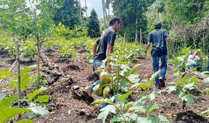 Pengembangan Agrowisata Butuh Dokumen Perencanaan