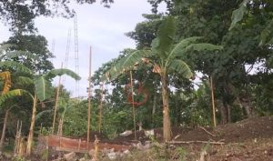 Tak Ada Papan Nama Proyek di Pulau Hiri