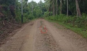 Jalan Bakal Dihotmix, KNPI Sula Beri Respon