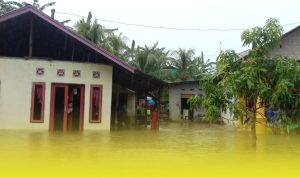 Rumah Terendam Banjir, Warga Batang Dua Bertahan