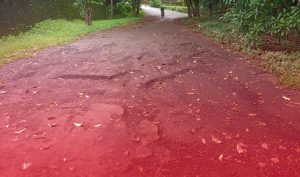 Bahaya, Jalan Menuju DPRD Sula Ancam Pengendara
