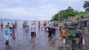 Dandim 1505 Tidore Rehabilitasi Hutan Mangrove  Tidore