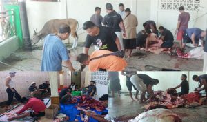 Spirit BKM Kayu Merah Ternate Sambelih Hewan Kurban