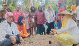 Gerakan Menanam, Bupati Sula Apresiasi Kelompok Tani Waigai