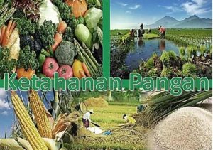 Berharap Banyak Program Ketahanan Pangan Masuk ke Halbar