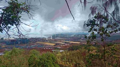 Keberadaan Pohon dan Hewan jadi Catatan Harita Nickel