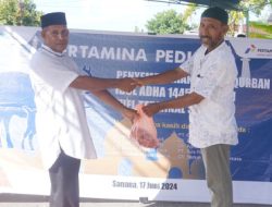 PT Pertamina Sanana Salurkan Hewan Kurban Idul Adha 