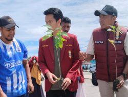 DPD IMM Tanam 100 Pohon di Morotai, Komitmen Pelestarian Lingkungan