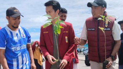 DPD IMM Tanam 100 Pohon di Morotai, Komitmen Pelestarian Lingkungan
