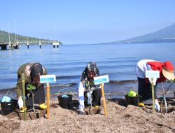Peringati Hari Mangrove Sedunia, Sekda Tidore Hadiri Penanaman Pohon Mangrove di Kawasan Pantai depan PLTU Tidore