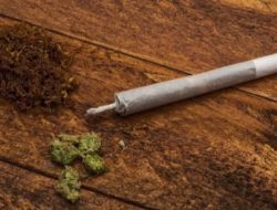 Kedapatan Miliki Ganja, Seorang Pemuda di Ternate Diamankan Polisi