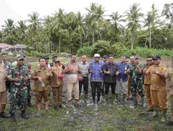 Dukung Swasembada Pangan, Pemkot Tidore Salurkan Bantuan dan Tanam Padi