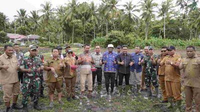 Dukung Swasembada Pangan, Pemkot Tidore Salurkan Bantuan dan Tanam Padi