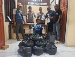 Polisi Amankan 500 Kantong Captikus di Swering Tulang Ikan Dufa-Dufa Ternate