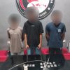 Miliki Ganja, Tiga Pemuda di Tidore Ditangkap Polisi