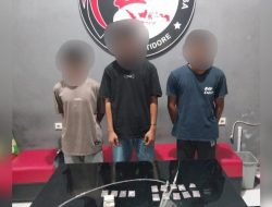 Miliki Ganja, Tiga Pemuda di Tidore Ditangkap Polisi