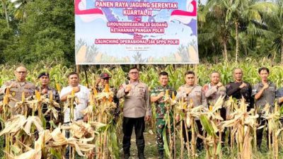 Dukung Swasembada Pangan, Wakapolda Malut Hadiri Panen Jagung di Sofifi