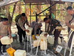 Dua Lokasi Penyulingan Captikus di Hutan Bacan Selatan Dimusnahkan Polisi