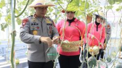 Panen Melon, Kapolda Malut Minta Anggota dan Warga Ikut Manfaatkan Lahan Terbatas