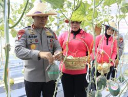 Panen Melon, Kapolda Malut Minta Anggota dan Warga Ikut Manfaatkan Lahan Terbatas