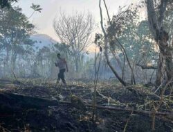 Polisi Dalami Penyebab Kebakaran Lahan di Kawasan Bandara Ternate