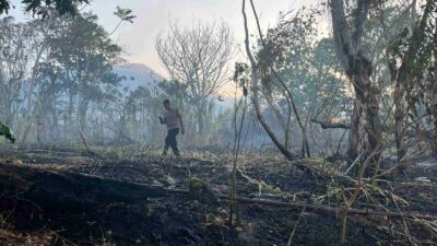 Polisi Dalami Penyebab Kebakaran Lahan di Kawasan Bandara Ternate